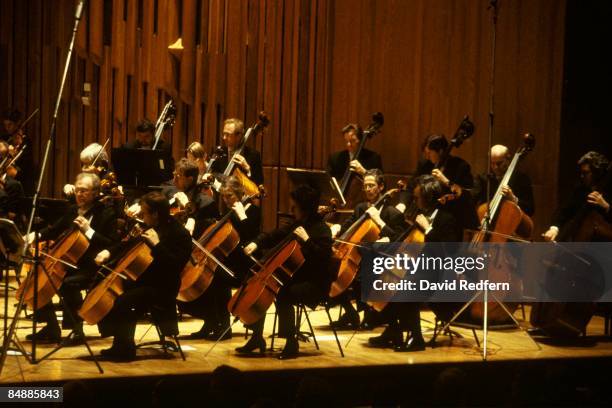 Part of the strings section of the London Symphony Orchestra performing a concert, mainly showing cellos and basses. Circa 1990.