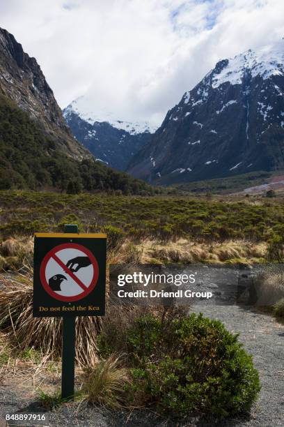 Kea Infromation Sign 18 Dont Feed The Animals Sign Stock Photos, High-Res Pictures, and ...