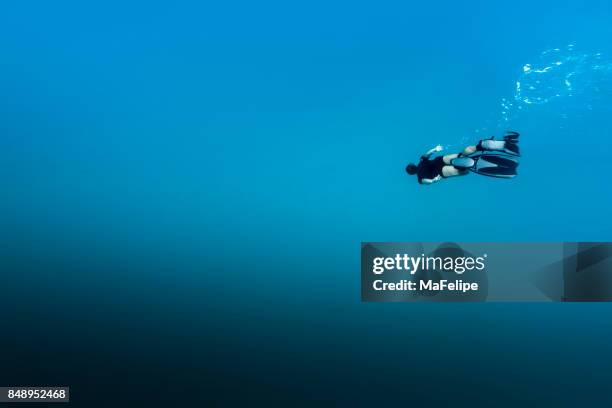 man free diving in fernando de noronha - diving into water stock pictures, royalty-free photos & images