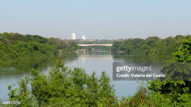 mario andreazza bridge on cuiabá river - cuiaba river stock pictures, royalty-free photos & images