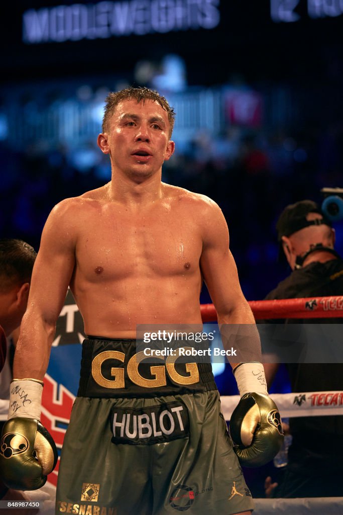 Canelo Alvarez vs Gennady Golovkin, WBA/WBC/IBF/IBO World Middleweight Title