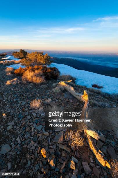snow and desert - panamint range stock pictures, royalty-free photos & images