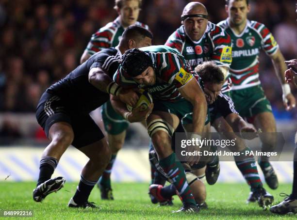 Graham Kitchener 316 Tigers Tribe Stock Photos, High-Res Pictures, and Images - Getty Images