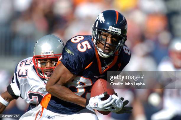 Ashley Lelie of Denver Broncos catches a long pass from Jake Plummer in front of Duane Starks of the New England Patriots in the first half of the...