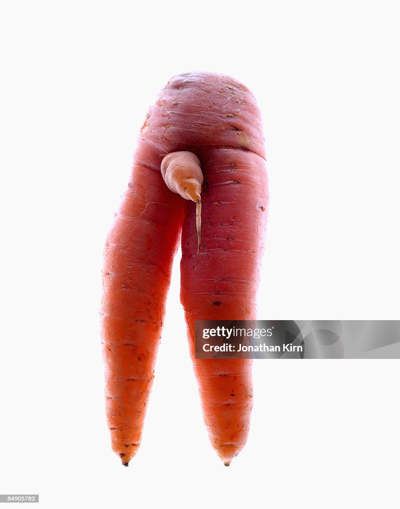 Manly Carrot 