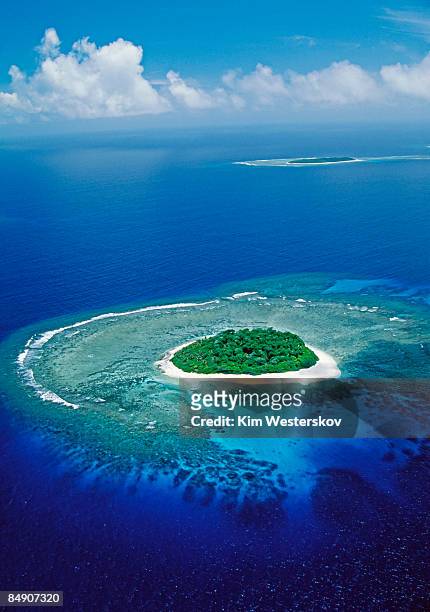 small tropical island - isole vavau foto e immagini stock