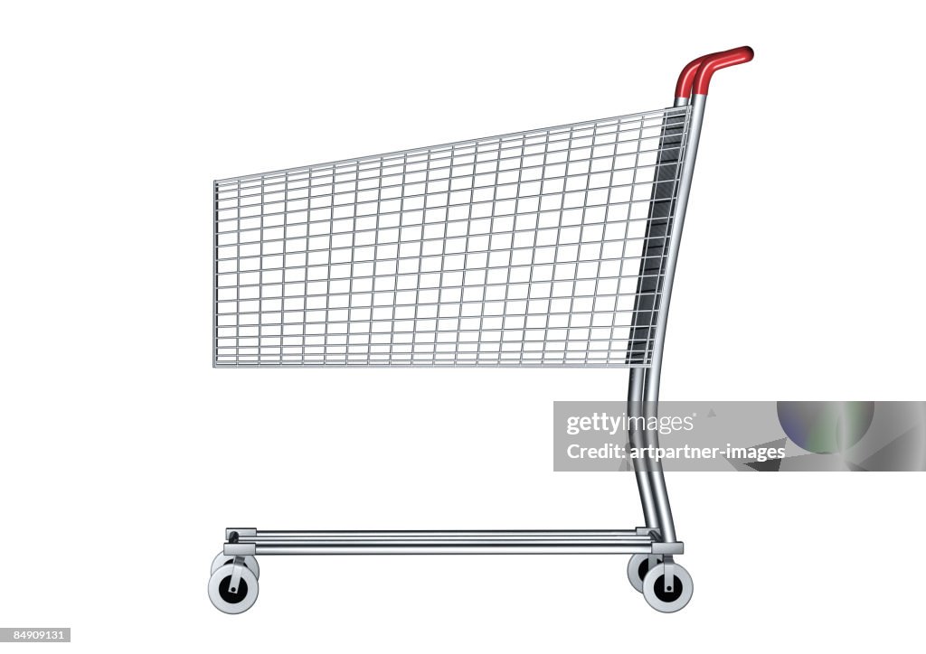 Shopping cart