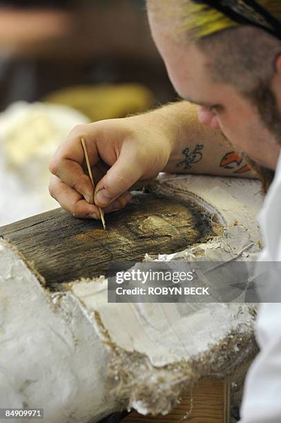 Assistant lab supervisor Trevor Valle works on a tusk belonging to "Zed," a Colombian mammoth fossil discovered eighty percent complete, in the...