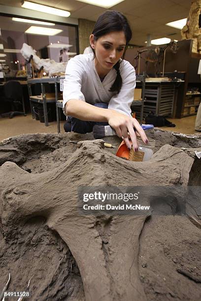 Volunteer Meganne Macias excavates the pelvis of a nearly intact Columbian mammoth, dubbed Zed, found in the largest known deposit of Pleistocene ice...