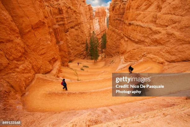 hikers at bryce national park - bryce canyon photos et images de collection