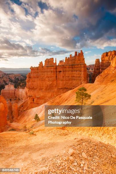 conformations at bryce canyon - thor's hammer stock pictures, royalty-free photos & images