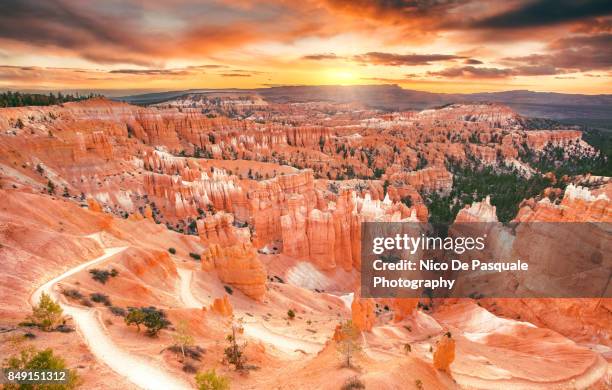 bryce national park - thor's hammer stock pictures, royalty-free photos & images