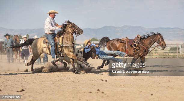 cowboys, die jagd nach bull beim rodeo reiten aktion in utah, usa - rodeo bull stock-fotos und bilder