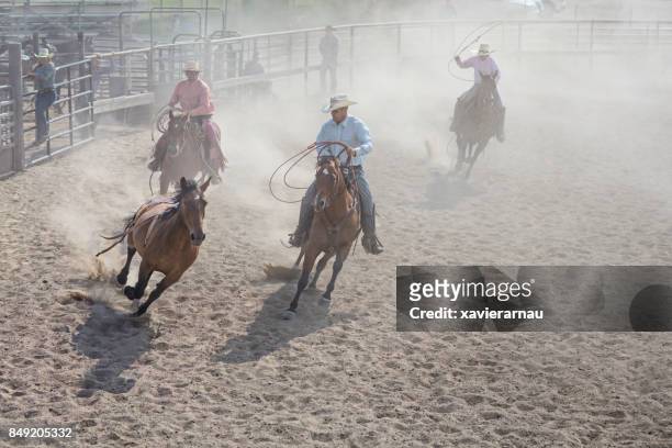 chasing horse in rodeo arena in utah, verenigde staten - op hol slaan stockfoto's en -beelden