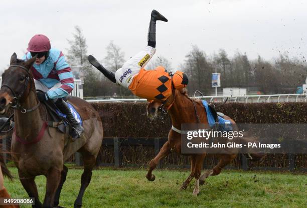 Kent Street ridden by Ryan Mania fall during the Buy Your 2013 Annual Badge Today Handicap Chase at Catterick racecourse, North Yorkshire.