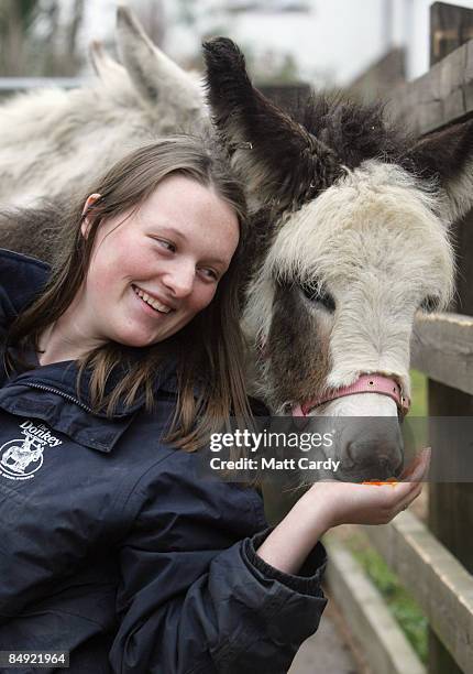 Emma Grattan a groom at the Donkey Sanctuary, feeds 4-month-old foal Francesca on February 18 2009 in Sidmouth, Devon, England. The Donkey Sanctuary,...