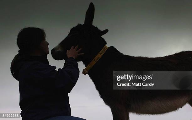 Groom Amanda Gordon greets Peanuts, an 8 year old donkey looking to be fostered, at The Donkey Sanctuary, Sidmouth, on February 18, 2009 in Devon,...