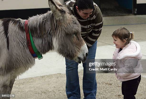 Young girl meets 'Austin' the donkey at The Donkey Sanctuary, Sidmouth, on February 18, 2009 in Devon, England. The Donkey Sanctuary, one of the UK's...