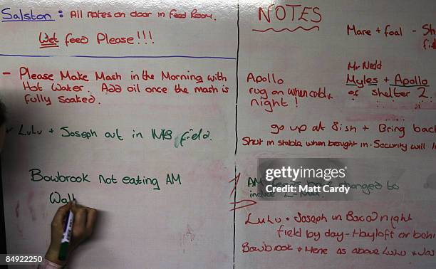 Emma Grattan, a groom at the Donkey Sanctuary, writes notes on a whitebaord in the feeding room at The Donkey Sanctuary, Sidmouth, on February 18,...