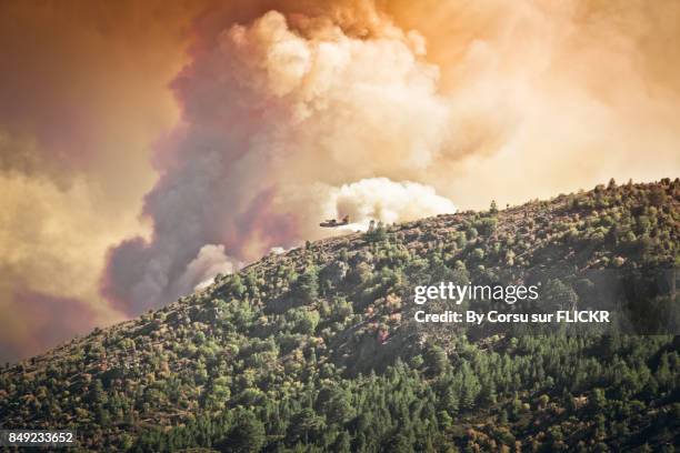 incendie - incendio forestal fotografías e imágenes de stock