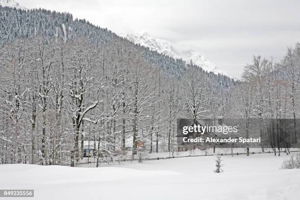 little house covered with snow in forest surrounded by mountains, bavaria, germany - linderhof stock pictures, royalty-free photos & images