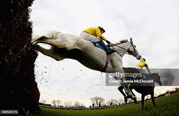 Pasco ridden by Sam Thomas jumps the last during the Weatherbys Cheltenham Festival Betting Guid 2009 during the at Huntingdon Race Course on...