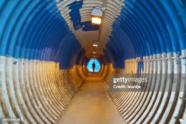 100 mile house - pedestrian underpass - cariboo stock pictures, royalty-free photos & images