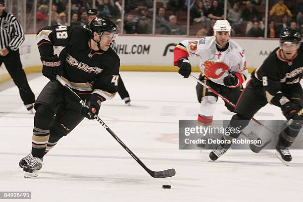 Andrew Ebbett of the Anaheim Ducks handles the puck against the Calgary Flames during the game on February 11, 2009 at Honda Center in Anaheim,...