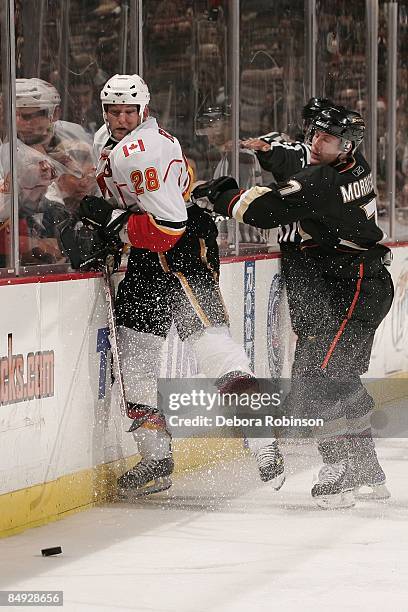 Robyn Regehr of the Calgary Flames is checked into the boards by Brendan Morrison of the Anaheim Ducks during the game on February 11, 2009 at Honda...