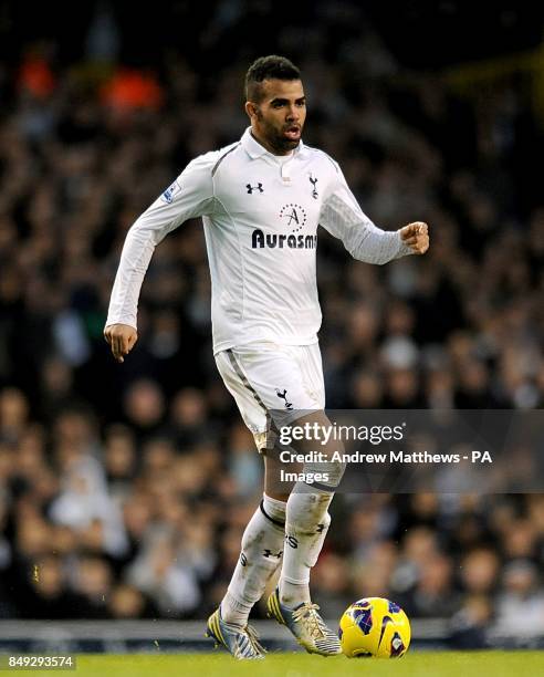 Sandro Ranieri Coach 312 Sandro Raniere Stock Photos, High-Res Pictures, and Images - Getty ...