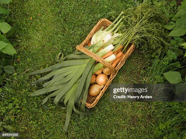 a basket of fresh vegetables - porro foto e immagini stock