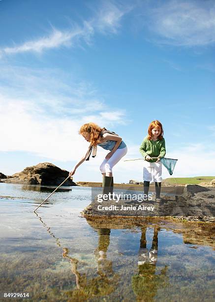 2 girls fishing in rock pool - gezeitentümpel stock-fotos und bilder