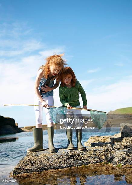2 girls looking in nets at rock pool - gezeitentümpel stock-fotos und bilder