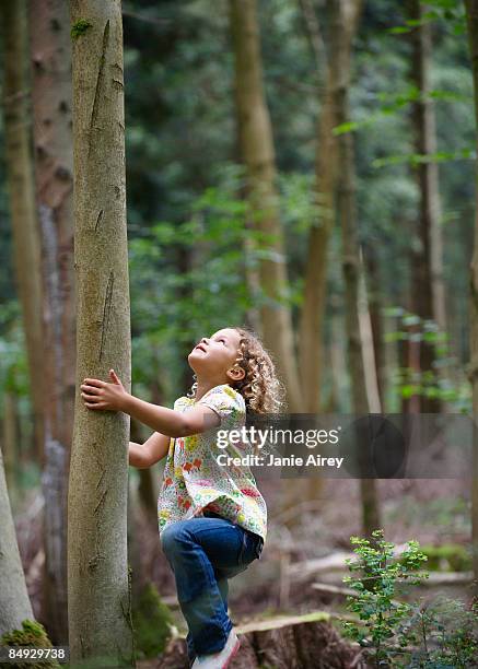 young girl starting to climb tall tree - winchester england stock-fotos und bilder