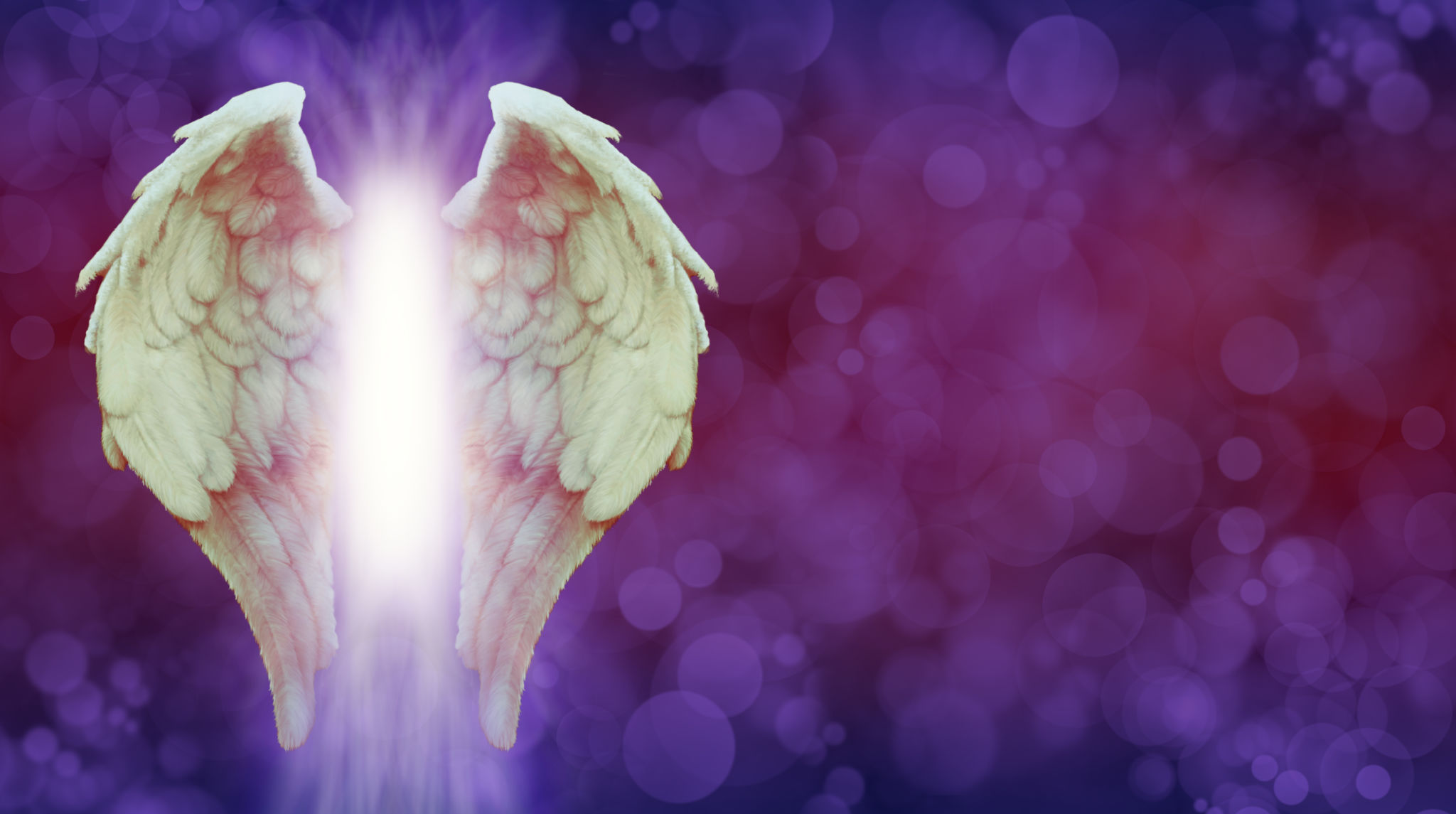 Angel Wings and Magenta Healing Light Banner Angel Wings and Magenta Healing Light Banner