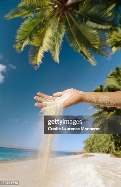 hand letting sand flowing under coconut palms - fregate stock pictures, royalty-free photos & images