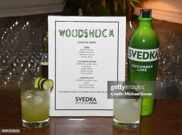 General view of atmosphere at the after party for the Los Angeles premiere of 'Woodshock' on September 18, 2017 in Hollywood, California.