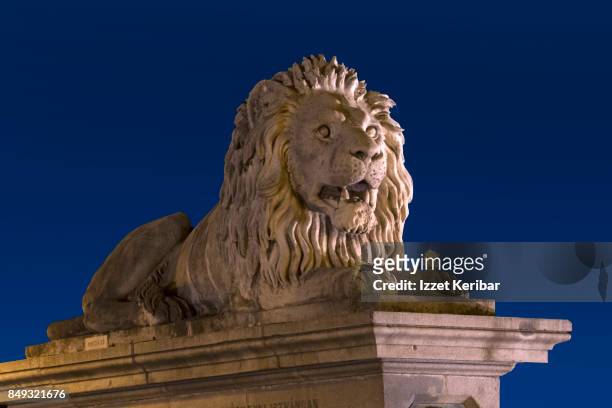 one of the four lion statues found on each corner of szecheny bridge, budapest hungary. - lion city photos et images de collection