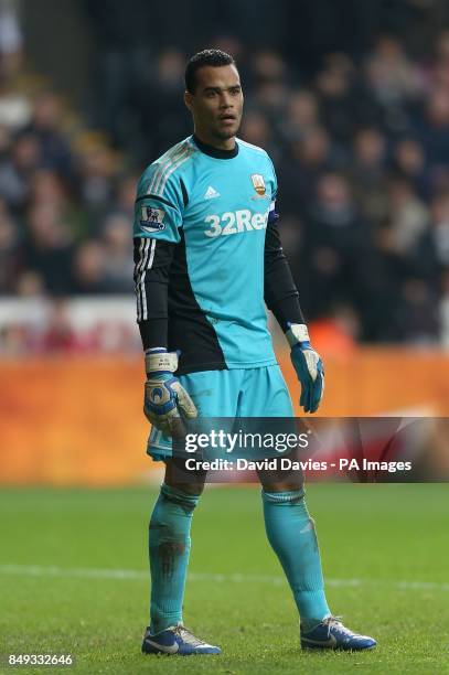 Swansea City goalkeeper Michel Vorm