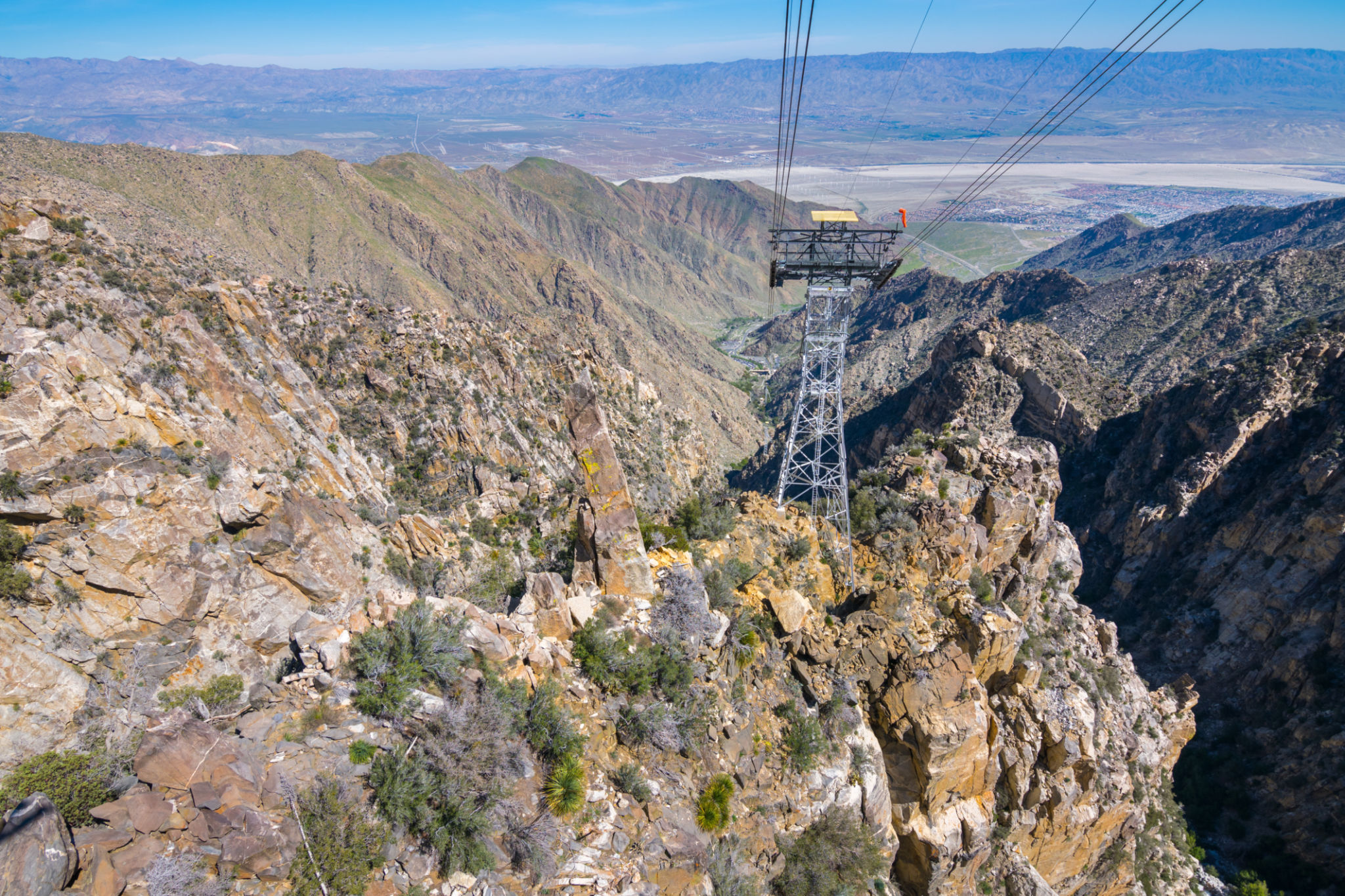 guided tours palm springs