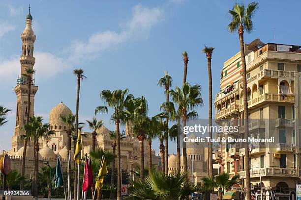 egypt, alexandria, mosque el abbas el morsi. - morsi photos et images de collection