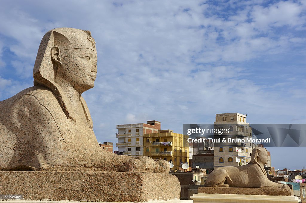 Column of Pompea and the Sphinx