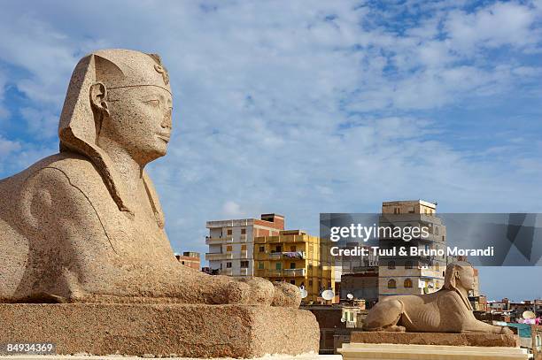 column of pompea and the sphinx - alexandria egypt stock pictures, royalty-free photos & images