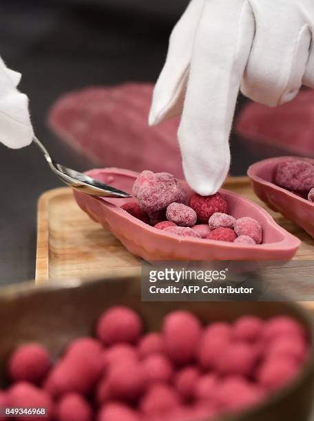 Ruby chocolate, a new pink chocolate obtained without adding berries, flavors or colorants, is presented to the media at the Barry Callebaut Belgium...