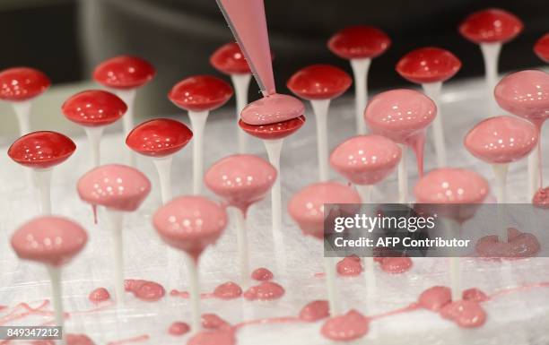 Ruby chocolate, a new pink chocolate obtained without adding berries, flavors or colorants, is presented to the media at the Barry Callebaut Belgium...