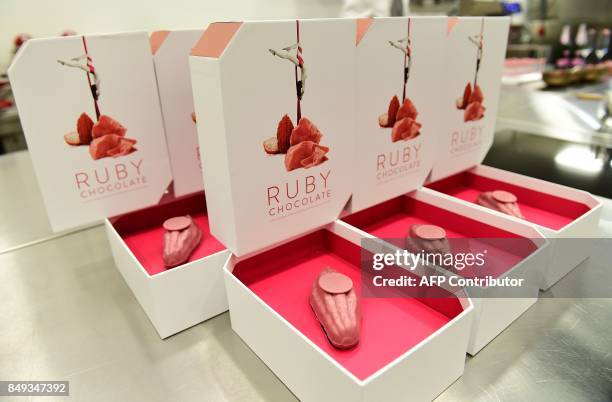 Ruby chocolate, a new pink chocolate obtained without adding berries, flavors or colorants, is presented to the media at the Barry Callebaut Belgium...