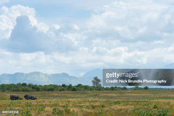 safari jeeps in udawalawe national park, sri lanka - スリランカゾウ ストックフォトと画像