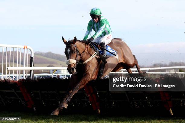 King Helissio ridden by Noel Fehily jumps the last on their way to victory in the Jenny Appleton & Family Maiden Hurdle at Ludlow Racecourse.