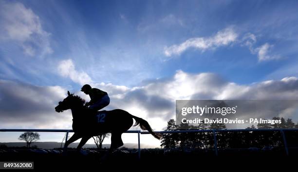 Brandy Snap ridden by Liam Tredwell make their way to post for the Jubilee Restaurant Juvenile Maiden Hurdle at Ludlow Racecourse.