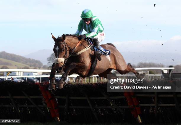 King Helissio ridden by Noel Fehily in the Jenny Appleton & Family Maiden Hurdle at Ludlow